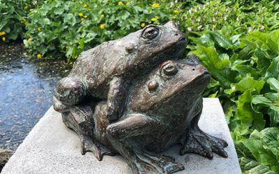 Frogs four Love