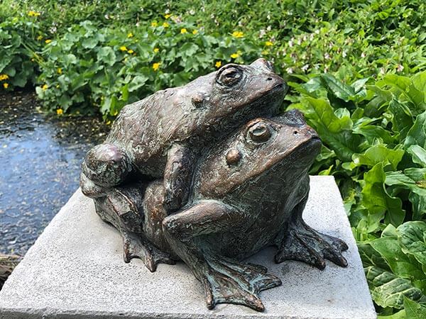 Frogs four Love